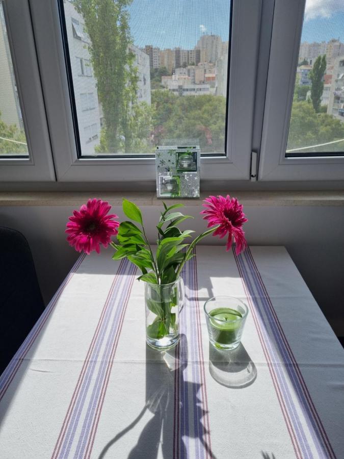 Apartment Vinka 斯普利特 外观 照片